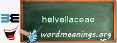 WordMeaning blackboard for helvellaceae